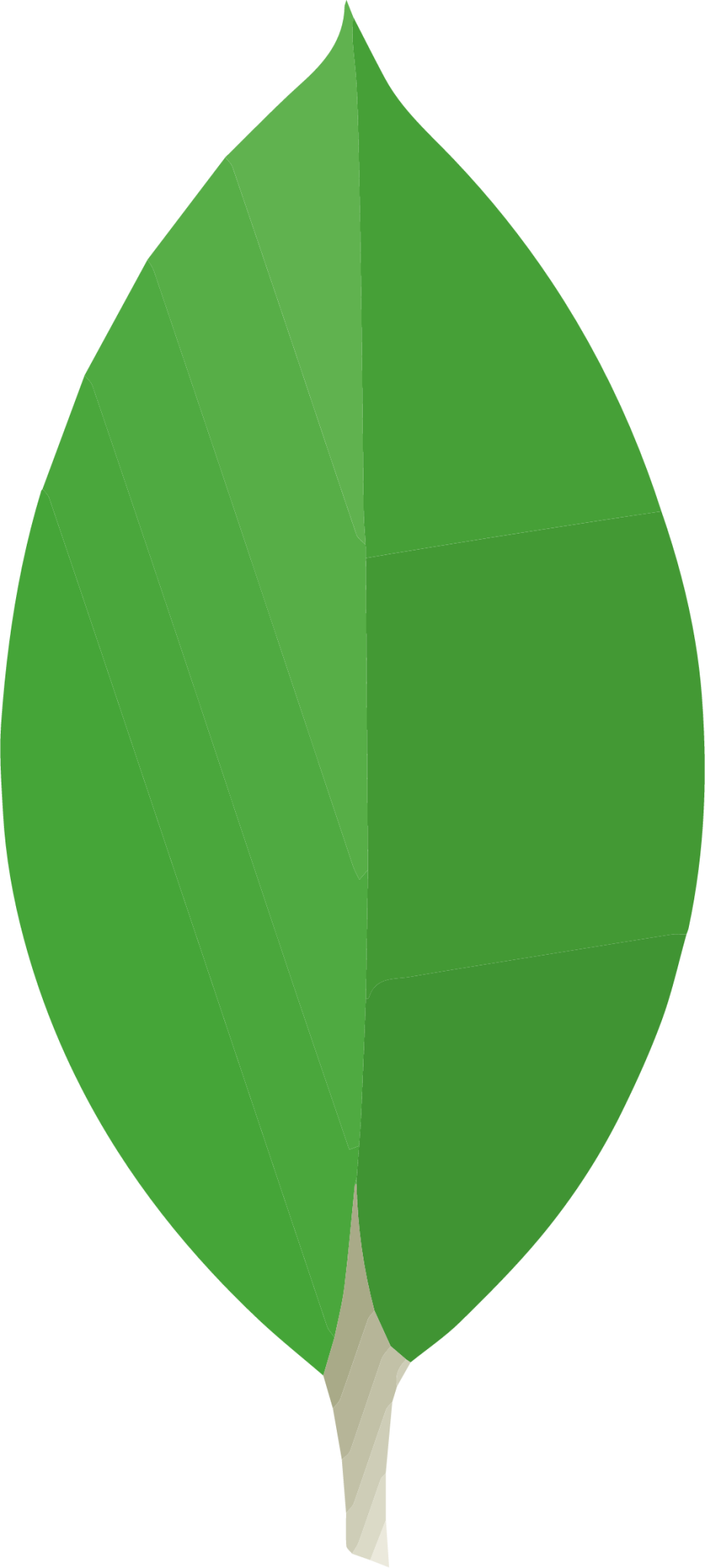 mangodb shree maryada